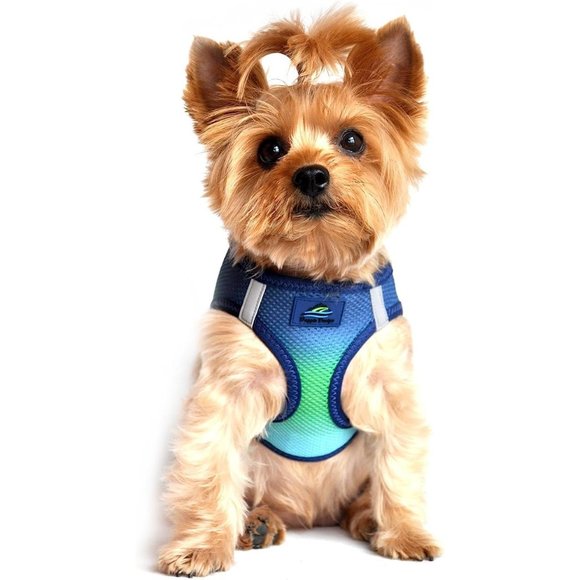 American River No Choke Dog Harness Ombre Northern Lights 50-60 Lbs Doggie Desig - Picture 1 of 8